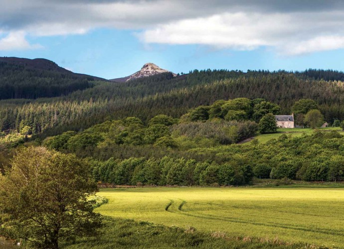 bennachie